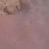 /~upi/2013_Jordania/IMAG0184_th.jpg