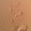 /~upi/2013_Jordania/IMAG0192_th.jpg