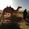 /~upi/2013_Jordania/IMAG0253_th.jpg