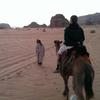 /~upi/2013_Jordania/IMAG0335_th.jpg